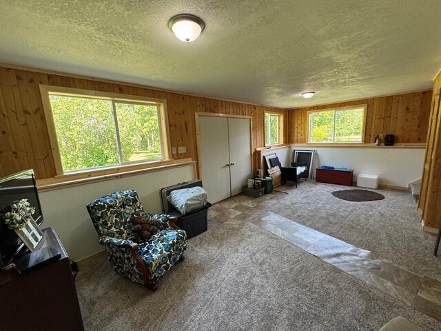 32440 Corlan Rd NE, Langor Twp, MN 56630 - photo 48
