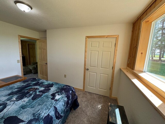 32440 Corlan Rd NE, Langor Twp, MN 56630 - photo 52