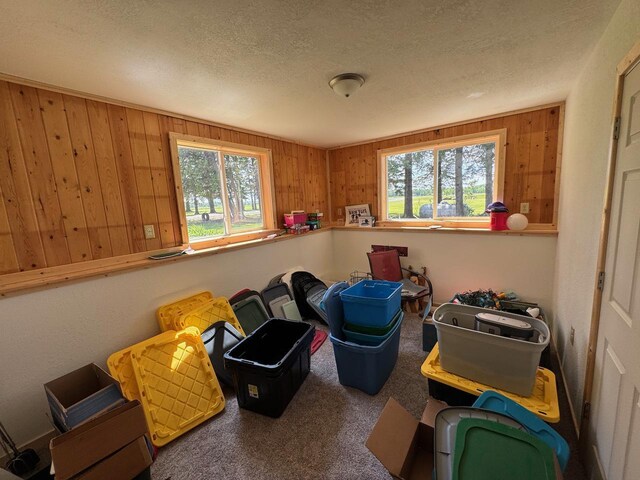 32440 Corlan Rd NE, Langor Twp, MN 56630 - photo 53