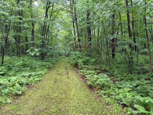 1749 350th Ave, West Sweden Twp, WI 54837