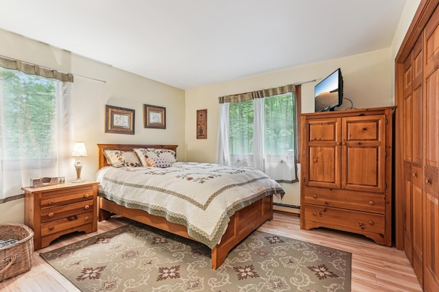 2225 Antler Lake Ct, Milltown, WI 54858 - bedroom with light wood-style floors, a closet, and baseboard heating