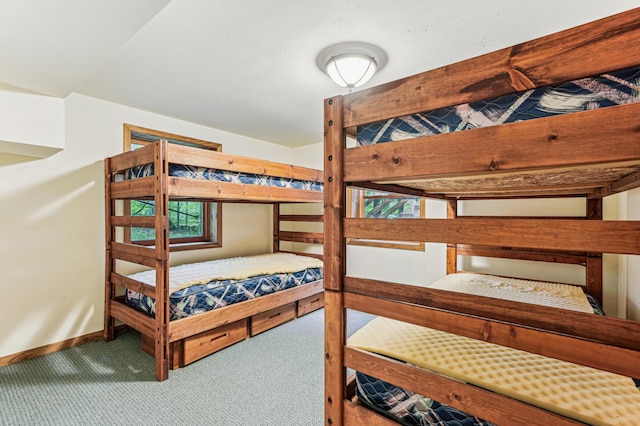 2225 Antler Lake Ct, Milltown, WI 54858 - bedroom featuring carpet and baseboards