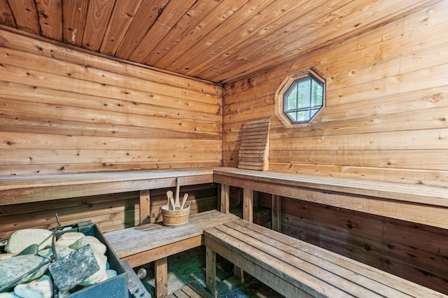 2225 Antler Lake Ct, Milltown, WI 54858 - relaxing sauna / steam room featuring wood walls and wooden ceiling