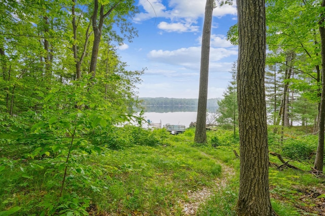 2225 Antler Lake Ct, Milltown, WI 54858 - water view