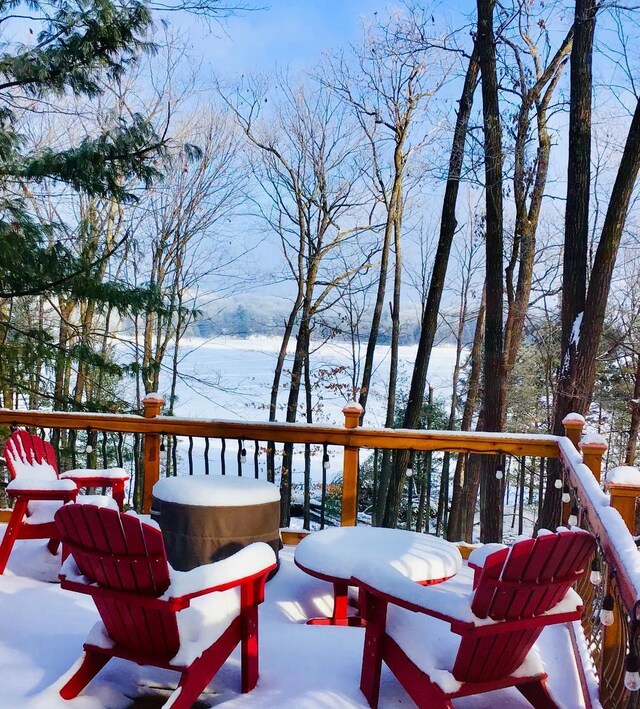 2225 Antler Lake Ct, Milltown, WI 54858 - view of snow covered deck
