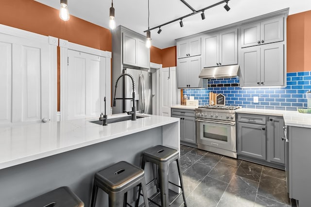 737 5th St E, Saint Paul, MN 55106 - kitchen featuring gray cabinetry, stainless steel appliances, under cabinet range hood, and decorative backsplash