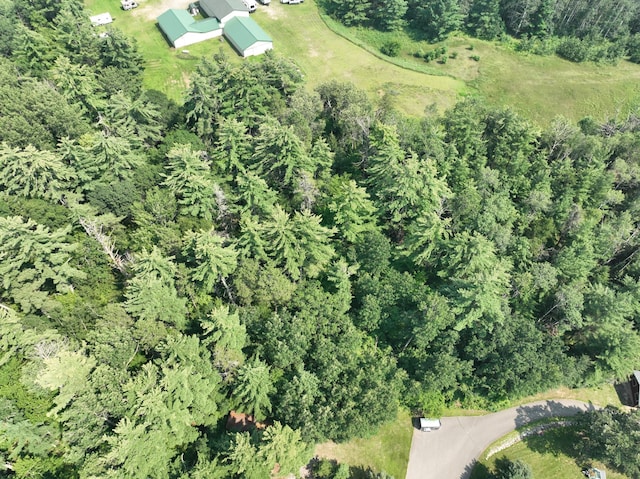TRACT4 Lake May Dr NW, Akeley, MN 56433 - photo 5
