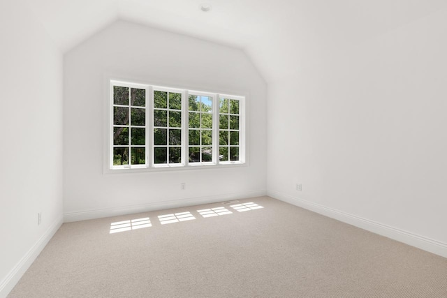 4603 Merilane Ave, Edina, MN 55436 - additional living space with carpet flooring and lofted ceiling
