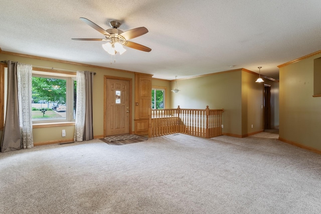2131 111th Ln NW, Coon Rapids, MN 55433 - foyer featuring crown molding, a ceiling fan, plenty of natural light, carpet, and a textured ceiling