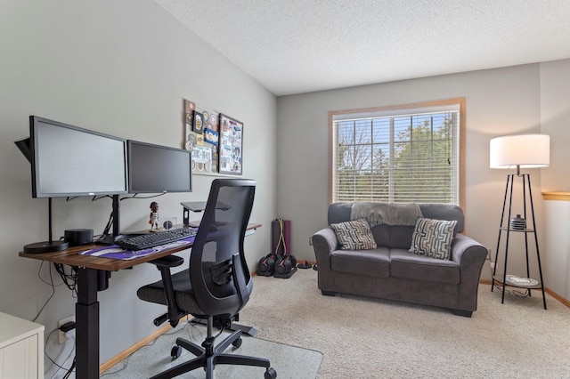 8475 121st Ave N, Champlin, MN 55316 - office featuring light colored carpet and a textured ceiling