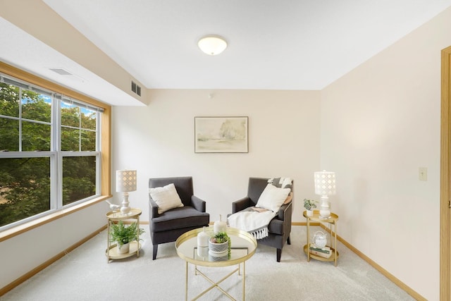 5650 Boone Ave N, New Hope, MN 55428 - living area with carpet and baseboards