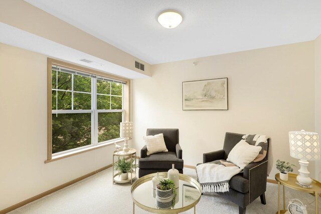 5650 Boone Ave N, New Hope, MN 55428 - living area featuring carpet floors and baseboards