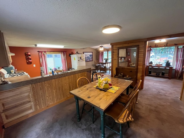 5940 150th Ave NE, New London Twp, MN 56288 - carpeted dining area featuring a textured ceiling, healthy amount of natural light, ceiling fan, and wood walls