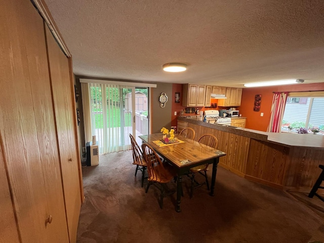 5940 150th Ave NE, New London Twp, MN 56288 - carpeted dining space featuring a textured ceiling