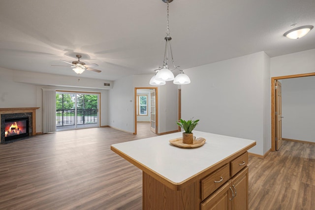 9165 Comstock Ln N Unit 106, Maple Grove, MN 55311 - kitchen featuring a center island, ceiling fan, wood finished floors, a premium fireplace, and open floor plan