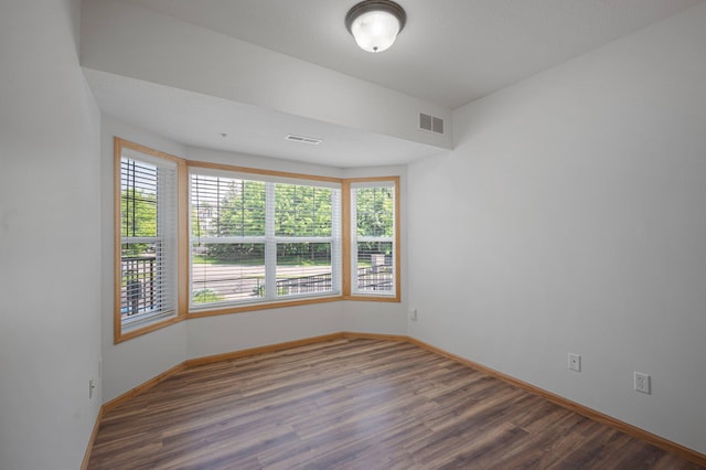 9165 Comstock Ln N Unit 106, Maple Grove, MN 55311 - empty room featuring plenty of natural light and wood finished floors