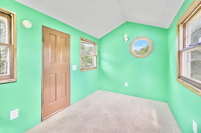101 Sunset Dr S, Minnetonka, MN 55305 - carpeted spare room with vaulted ceiling