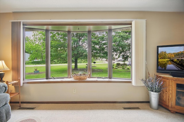20128 554th St, Concord Twp, MN 55985 - sitting room featuring plenty of natural light and carpet flooring