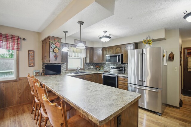 20128 554th St, Concord Twp, MN 55985 - kitchen with appliances with stainless steel finishes, a peninsula, light wood-style flooring, light countertops, and wainscoting