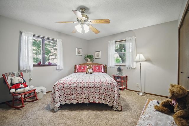 20128 554th St, Concord Twp, MN 55985 - carpeted bedroom featuring multiple windows, a ceiling fan, a textured ceiling, and a closet