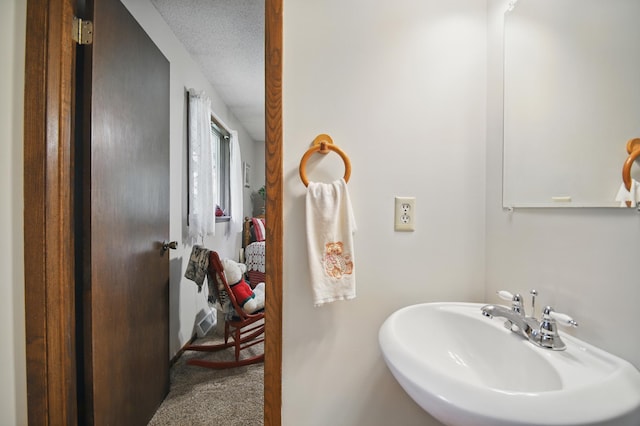 20128 554th St, Concord Twp, MN 55985 - bathroom with a sink and a textured ceiling