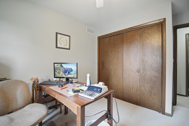 20128 554th St, Concord Twp, MN 55985 - office space with carpet floors and a ceiling fan