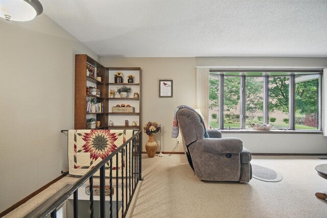 20128 554th St, Concord Twp, MN 55985 - sitting room with light colored carpet and an upstairs landing