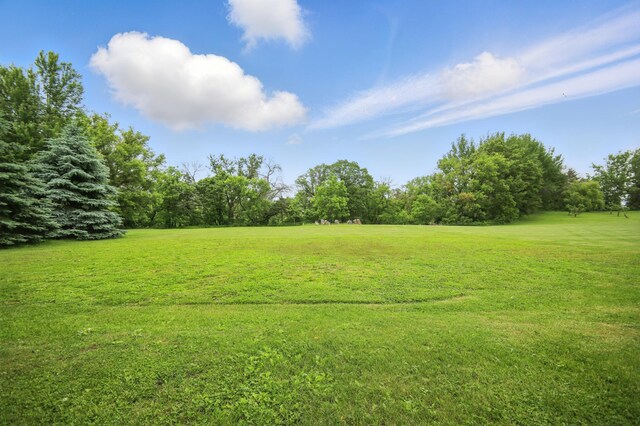 20128 554th St, Concord Twp, MN 55985 - view of green lawn