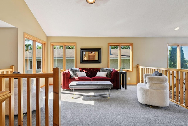 2819 Mckenzie Point Rd, Minnetonka, MN 55391 - photo 11