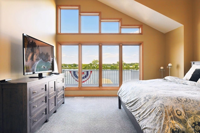 2819 Mckenzie Point Rd, Minnetonka, MN 55391 - photo 13