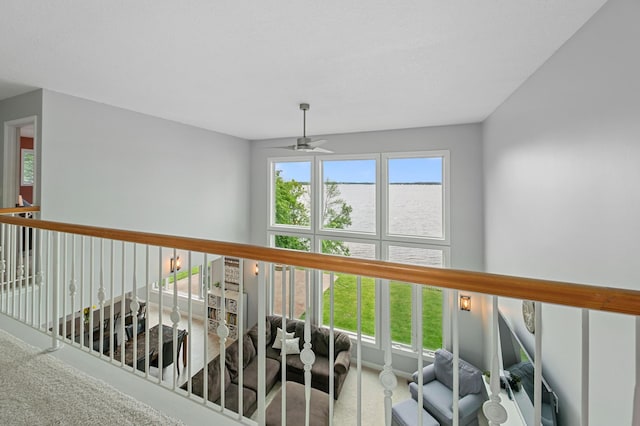 10460 Kismet Isle, Chisago Lake Twp, MN 55013 - corridor featuring carpet flooring