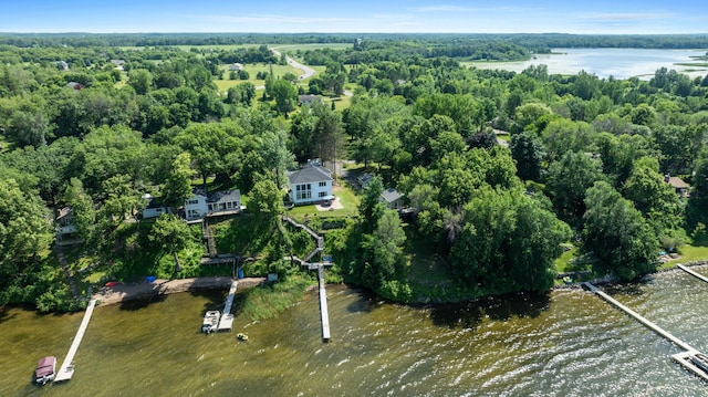 10460 Kismet Isle, Chisago Lake Twp, MN 55013 - photo 5