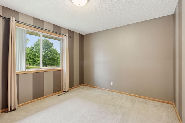 22087 Jasmine Way, Rogers, MN 55374 - spare room featuring carpet and a textured ceiling