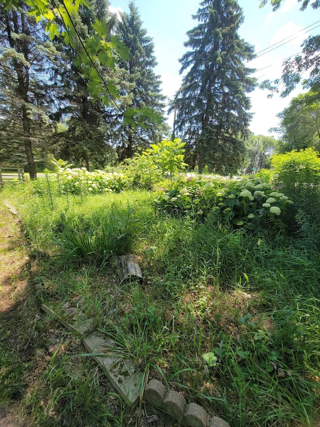 3938 191st Ave NE, Wyoming, MN 55092 - view of local wilderness