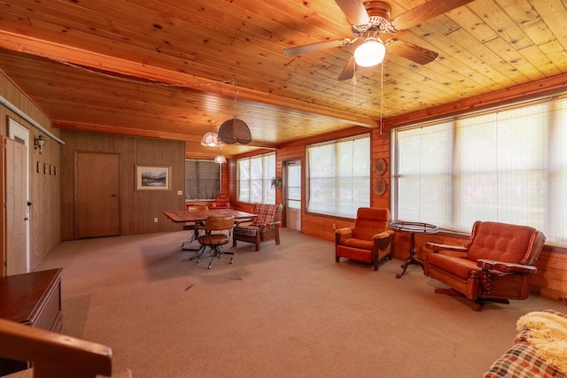 11 Mill Ave, Minnesota Lake, MN 56068 - photo 6
