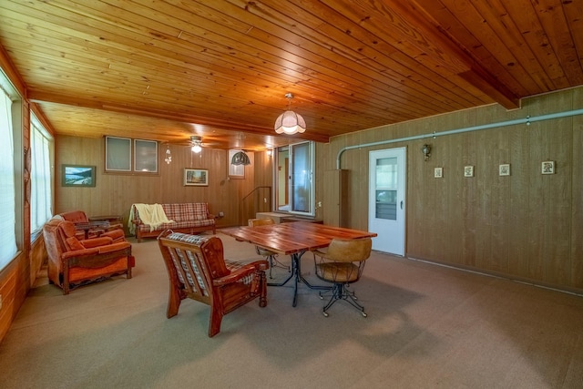11 Mill Ave, Minnesota Lake, MN 56068 - photo 7