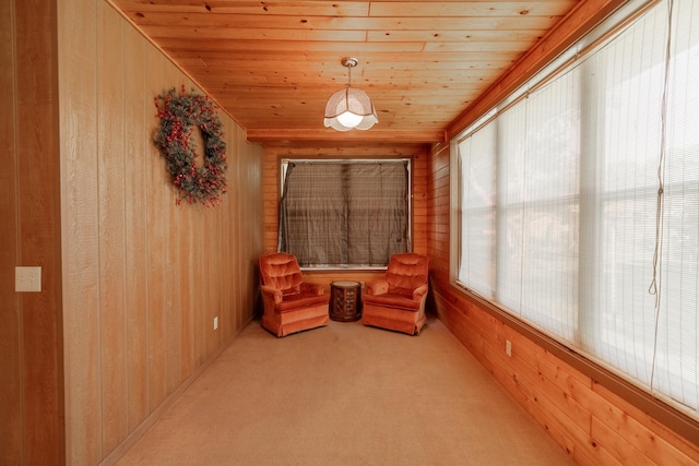 11 Mill Ave, Minnesota Lake, MN 56068 - photo 8