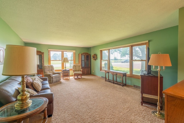 11 Mill Ave, Minnesota Lake, MN 56068 - photo 9