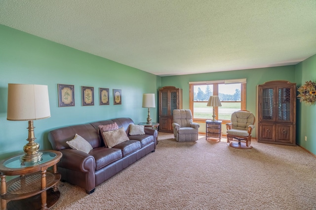 11 Mill Ave, Minnesota Lake, MN 56068 - photo 10