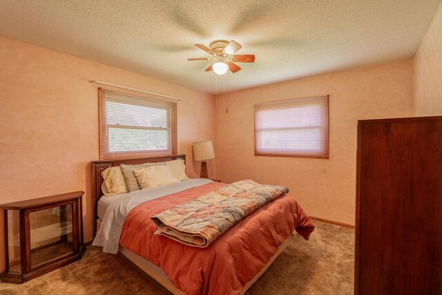 11 Mill Ave, Minnesota Lake, MN 56068 - photo 13