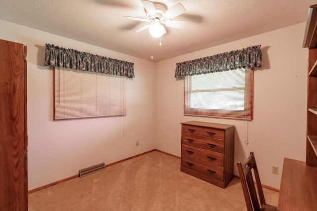 11 Mill Ave, Minnesota Lake, MN 56068 - photo 15