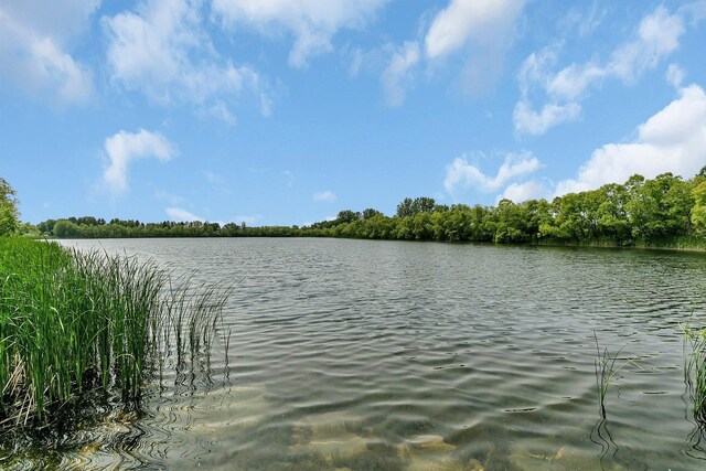 1301 20th Ave S, Sartell, MN 56377 - water view