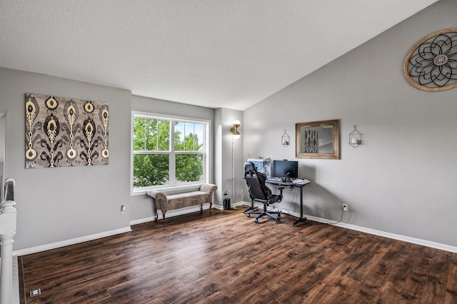 19921 204th Ave, Big Lake, MN 55309 - home office featuring wood finished floors and lofted ceiling