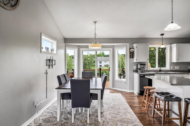 19921 204th Ave, Big Lake, MN 55309 - dining room featuring a textured ceiling, dark wood finished floors, and vaulted ceiling