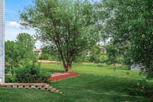 19921 204th Ave, Big Lake, MN 55309 - view of green lawn