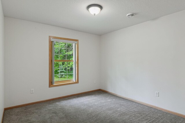 6010 Woodbury Dr, Wright, MN 55798 - photo 21