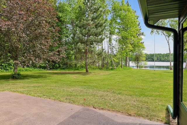 6010 Woodbury Dr, Wright, MN 55798 - photo 42