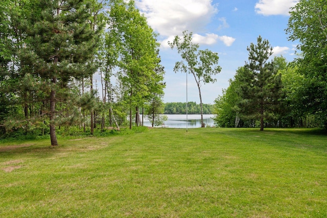 6010 Woodbury Dr, Wright, MN 55798 - photo 43