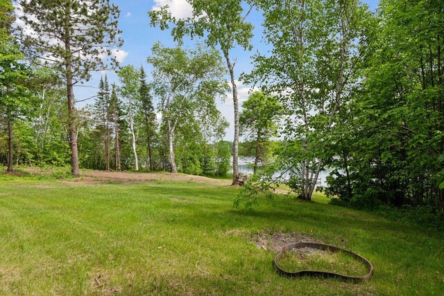 6010 Woodbury Dr, Wright, MN 55798 - photo 44