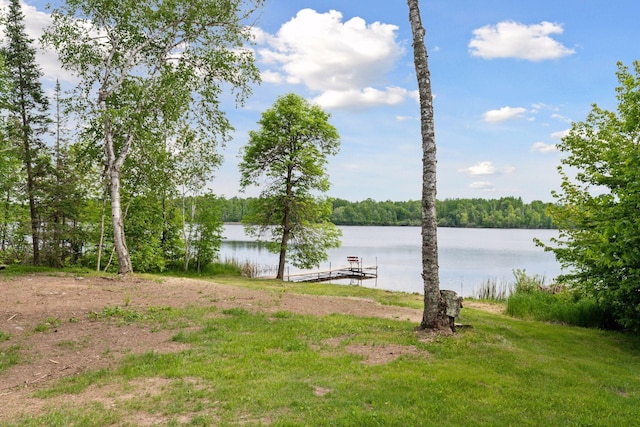 6010 Woodbury Dr, Wright, MN 55798 - photo 45